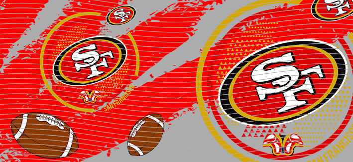 16oz team-NFL 2972